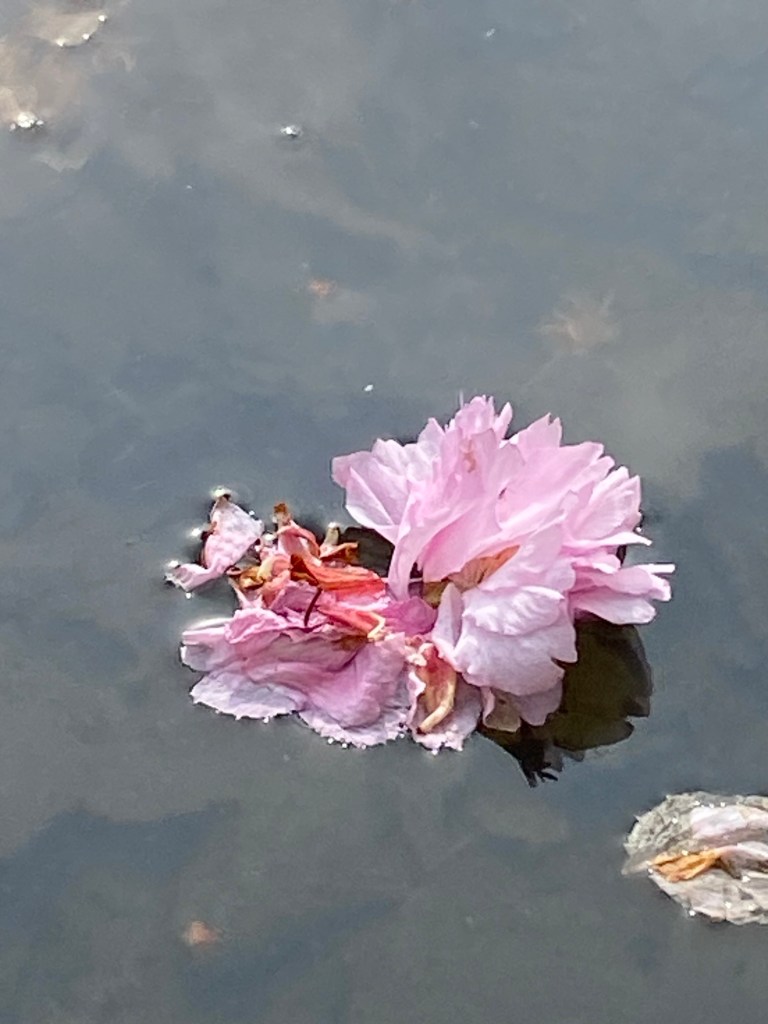 Mental Health Awareness Week and the Role of&nbsp;Acupuncture