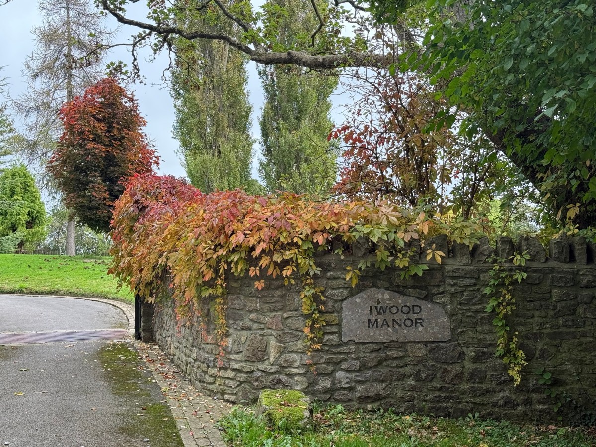 Keep Saying YES&nbsp;……..