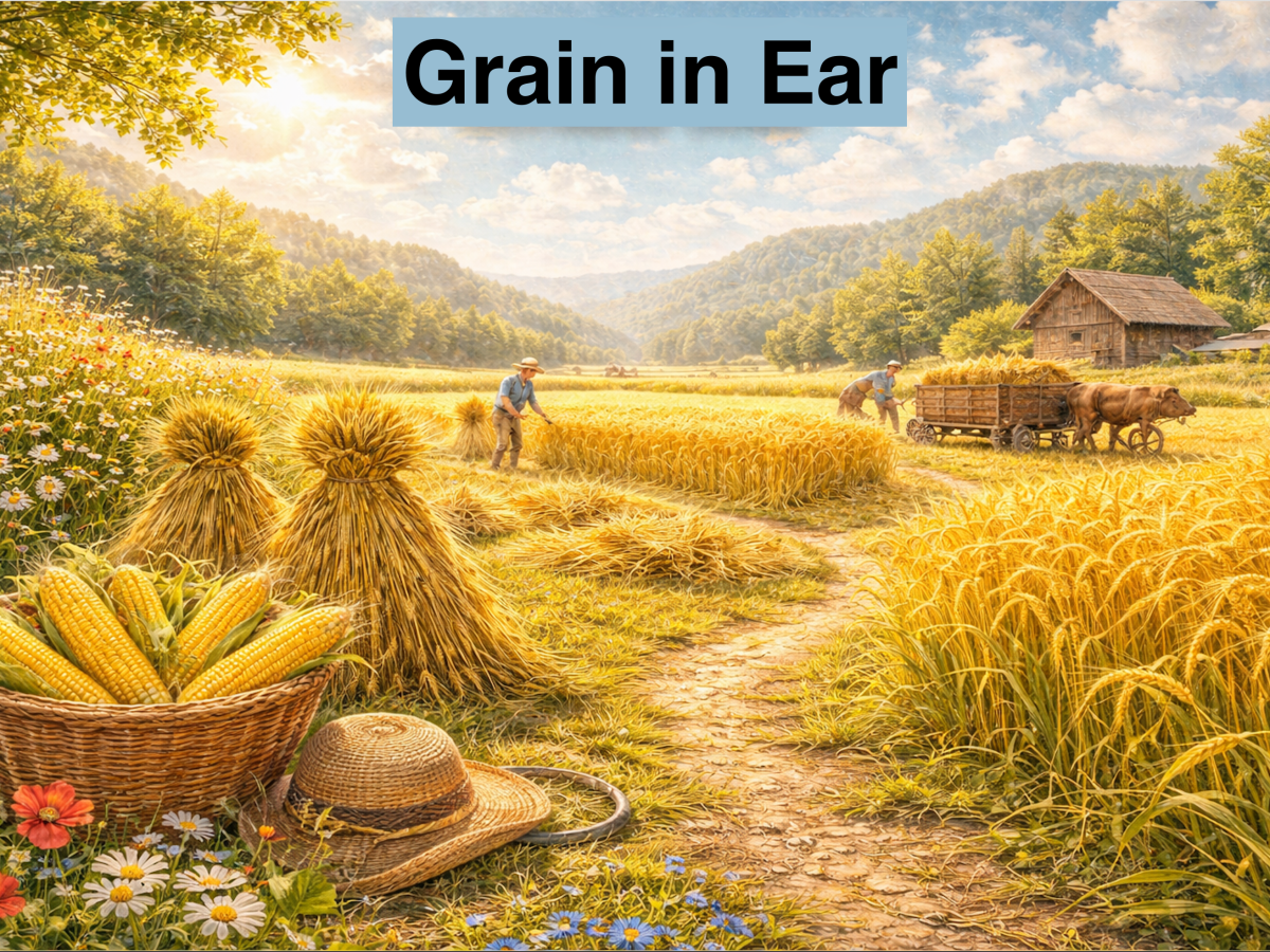 Grain in Ear – Mang Zhong – 6th June – 21st&nbsp;June